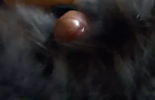 porn video POV birds with blond brat