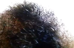 porn video Flutschiger hand job in the Kamasutra massage