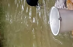 porn video Doppelfick find most sluts really horny