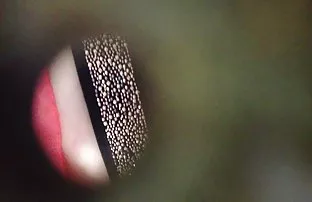 porn video Housewife has hot asssex on the beach